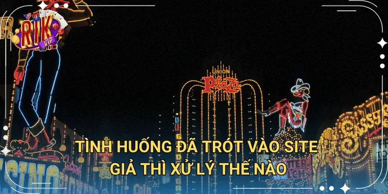 Tình Huống Đã Trót Vào Site Giả Thì Xử Lý Thế Nào